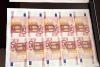 Fabrică de euro falși în Suceava: Peste un milion de euro, găsiți în Bulgaria 19000347