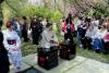 Hanami – sărbătoarea primăverii – în Grădina japoneză din Parcul Regele Mihai I (Herăstrău) 19004286