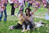Hanami – sărbătoarea primăverii – în Grădina japoneză din Parcul Regele Mihai I (Herăstrău) 19004290