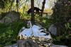 RAD Sculpture Park 2026 „CO-LAC” – peste 60 de artiști și mai mult de 100 de lucrări expuse în aer liber, până pe 15 mai 19006904