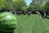 RAD Sculpture Park 2026 „CO-LAC” – peste 60 de artiști și mai mult de 100 de lucrări expuse în aer liber, până pe 15 mai 19006906