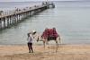 Vacanță în Sharm El-Sheikh: ghidul complet pentru românii care visează la farmecul Egiptului 19006749