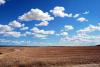 Adio, porumb! Fermele dau faliment, pe câmpuri răsar panouri fotovoltaice. Ilie Bolojan a legiferat concesionarea terenurilor, pentru a fi „cultivate” cu panouri 19007936