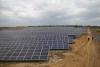 Adio, porumb! Fermele dau faliment, pe câmpuri răsar panouri fotovoltaice. Ilie Bolojan a legiferat concesionarea terenurilor, pentru a fi „cultivate” cu panouri 19007937