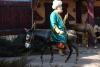 Nastratin - semnificația unui nume știut din Balcani până în China 19009171