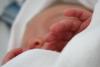 Dopamina „rescrie” creierul mamelor după sarcină  19009531
