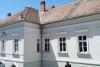 Cum au fost salvați în ultima secundă doi pui de pescăruș de pe clădirea Primăriei din Sibiu 19010349