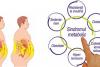 Sindromul metabolic - mănunchiul de maladii fatale  19012446