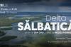 „Delta Sălbatică”, cel mai amplu documentar dedicat Deltei Dunării, proiectat în aer liber la TIFF.25, vineri, 19 iunie, în Piața Unirii, în prezența echipei! 19013705