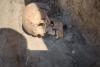 Lagărul de exterminare de la Salcia. REPORTAJ de pe marginea unei gropi comune 19013858