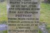 Abatele Prèvost, scriitorul unei singure mari întrebări 19014629