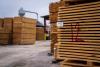 Pădurile României produc suficientă materie primă, dar industria mobilei ratează profitul 19014858