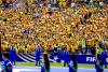 Goluri fantastice, un meci cel puţin controversat, noi eliminări, dar și recordul de autogoluri egalat deja, ȋn cea de-a 15-a zi a Campionatului Mondial, lider de audienţă 19015402