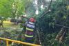 UPDATE Codul ROȘU de furtună face ravagii în Dâmbovița: 114 de apeluri la 112 și intervenții în Târgoviște și Răzvad 19015852