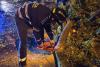 REPORTAJ: „Cu grijă, domnu’, că intră ramura în mașină.” Furtună pe malul Dâmboviței. Un polițist, o drujbă și sinistrații de pe TikTok 19016183