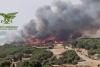 Incendii devastatoare în Sardinia. Flăcările au ajuns lângă un aeroport important. Zeci de zboruri afectate. Mai multe drumuri sunt blocate 19017733
