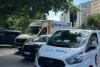 Descoperire șocantă într-un apartament din București: 115 pisici trăiau înghesuite în condiții improprii 19018076