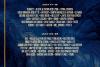 Scandal în Belgia: organizatorii Tomorrowland au aflat din presă că nu mai pot folosi artificii. Line-up 2026: David Guetta, Martin Garrix și Calvin Harris 19018440