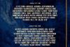 Scandal în Belgia: organizatorii Tomorrowland au aflat din presă că nu mai pot folosi artificii. Line-up 2026: David Guetta, Martin Garrix și Calvin Harris 19018441