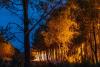 „Cenușă ca ninsoarea și flăcări cât blocul.” Peste 250.000 de oameni fug din calea incendiilor devastatoare din Franța și Spania 19019830