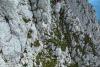Fără hamuri, fără coardă, fără minte: Patru turiști au vrut să scurteze traseul pe Piatra Craiului și au ajuns atârnați pe un perete de stâncă 19019900
