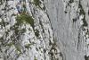 Fără hamuri, fără coardă, fără minte: Patru turiști au vrut să scurteze traseul pe Piatra Craiului și au ajuns atârnați pe un perete de stâncă 19019905