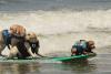 Câinii, cei mai tari surferi din California: Campionatul Mondial care cucerește internetul 19020901
