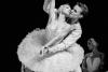 Ukrainian Classical Ballet revine la București, cu „Spărgătorul de nuci” şi „Lacul Lebedelor”, în cadrul unui amplu turneu european 19021251